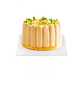 ÀÚ¸ùÀ» °¡µæ ä¿î ´ÞÄÞ µðÀúÆ®»çÁø